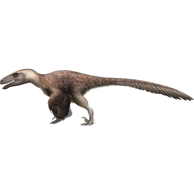 realistic utahraptor